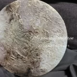 テクスチャーアート、アルコールインクアートコラボ円形パネル